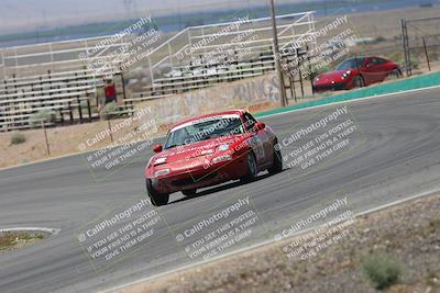 media/May-03-2025-Lucky Dog Racing (Sat) [[206de64b9d]]/Turn 4 B (1150am-130pm)/